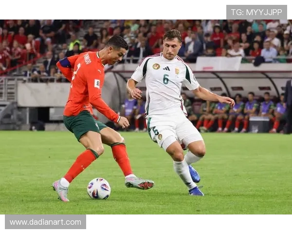 威尔士与爱尔兰激战正酣比分揭晓引发球迷热议